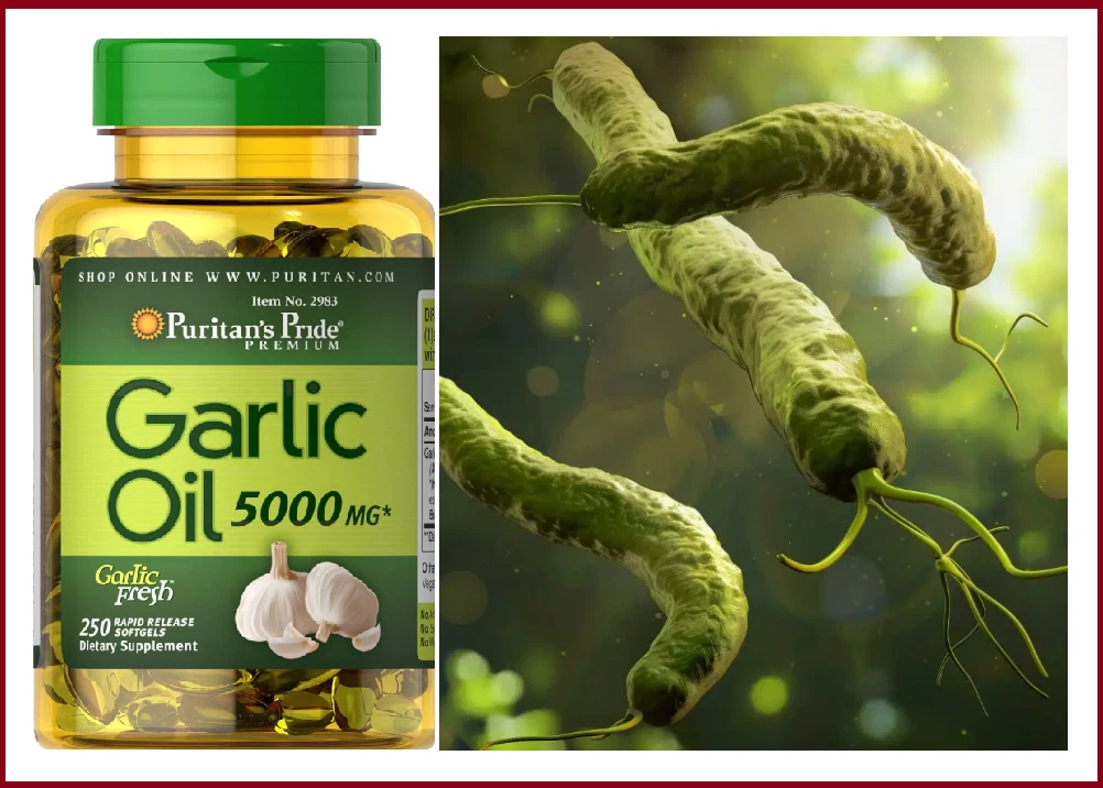 #1 Pastillas para eliminar el helicobacter pylori mejor medicamento natural