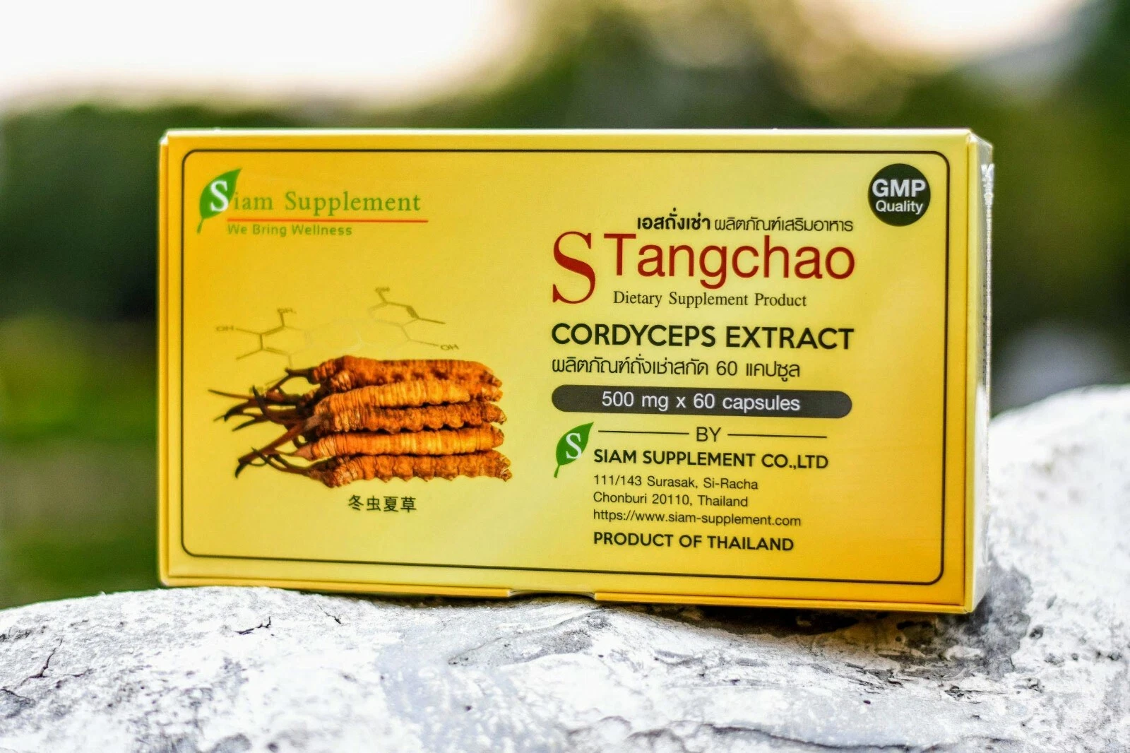 Cordyceps Sinensis & Cordyceps Militaris Extract : High concentration x60 Caps