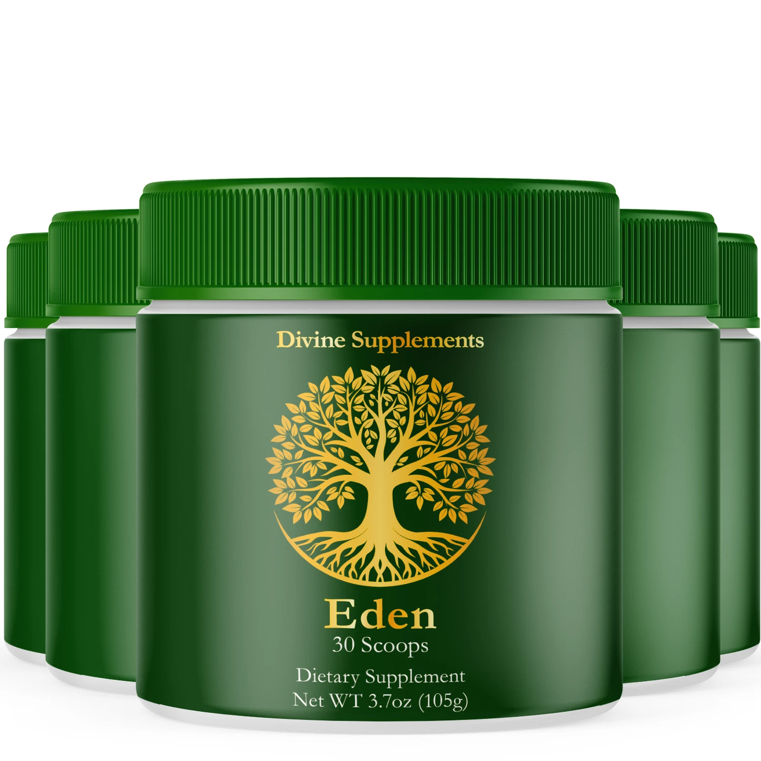 Eden Powder Supplement Advanced Formula Gut Health & Fitness Support (5 Pack)