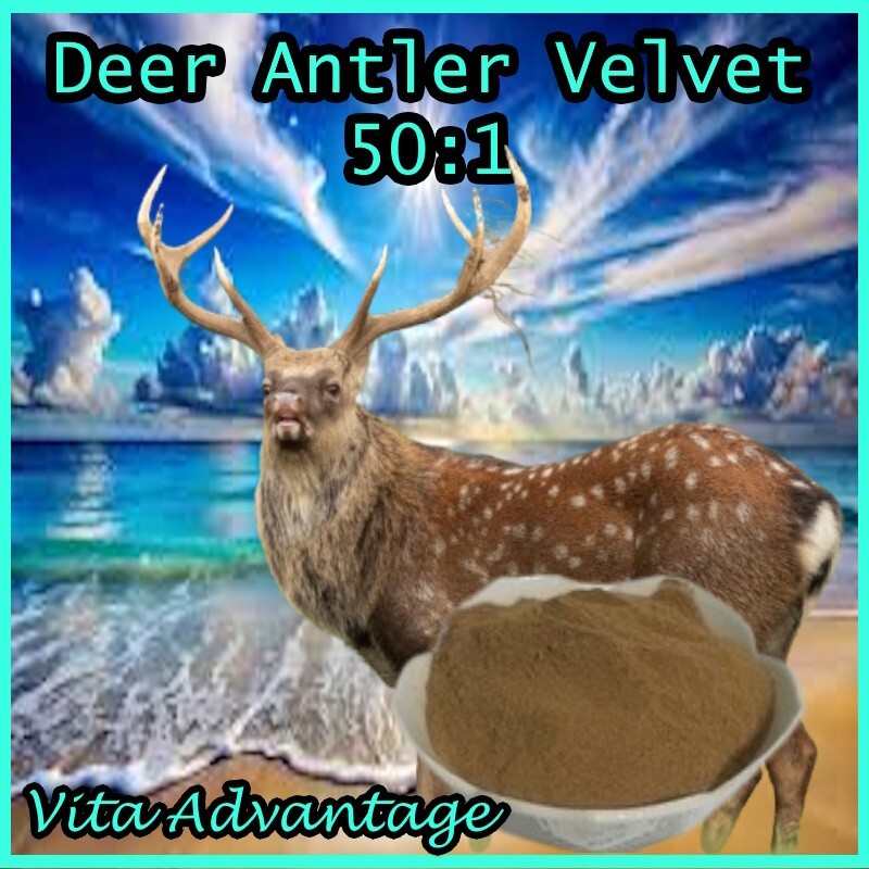 DEER ANTLER VELVET 50:1 EXTRACT POWDER 1LB MAXIMUM STRENGTH! BEST SELLING!