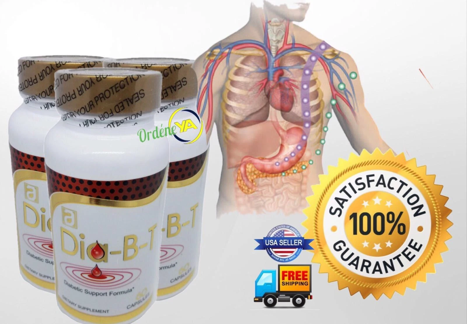 DIA-B-T REGENEX VITA GLUTTEN FREE BACTERIUM