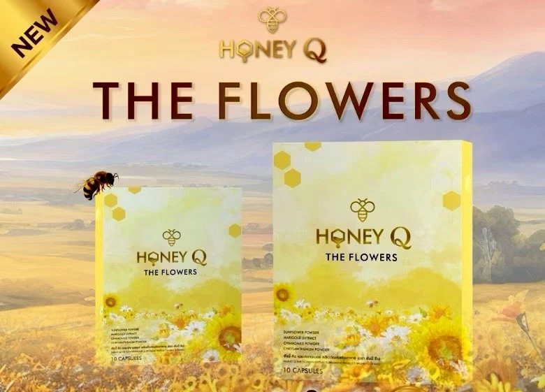3X HONEY Q Weight Loss Management Supplements Control Hunger Fat Burning
