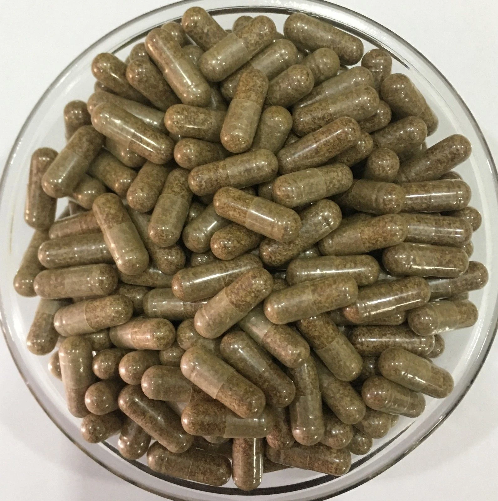 ORGANIC Lajwanti Seeds Capsules Mimosa Pudica Helps Premature Ejacuation