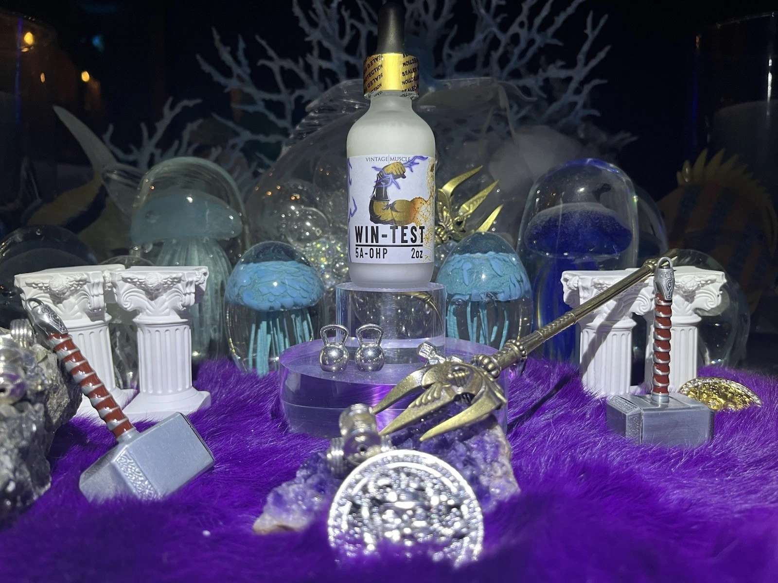 빈티지 근육으로 Winstrol Wintest Striated Dry Gainer 2 단계 전구체