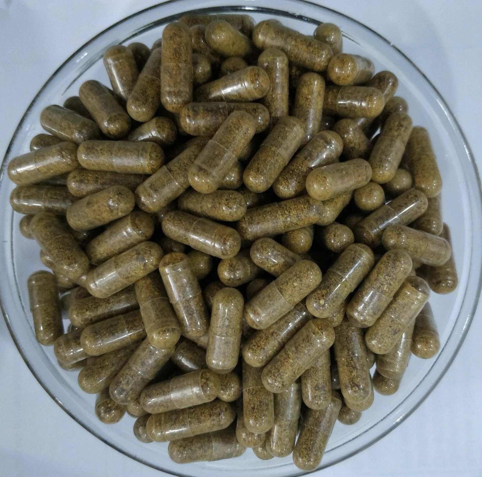 ORGANIC Celastrus Paniculatus Capsules Jyotishmati Malkangani Pure No Fillers
