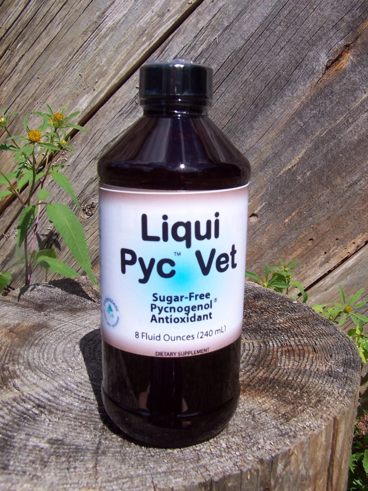 Nature's Extra Liqui Pyc Vet Pycnogenol 37.5 mg/5 mL Solution, 8 oz