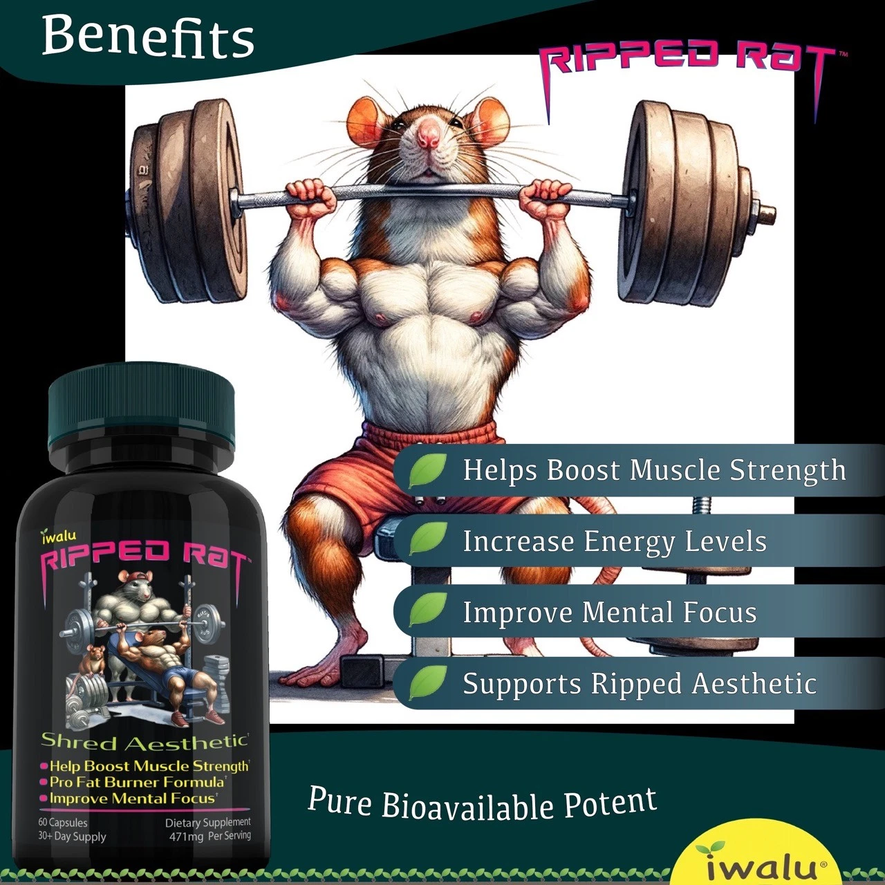 Ripped Rat | Top Weight Loss Supplements- Women | *fast Free Shipping* Same Day