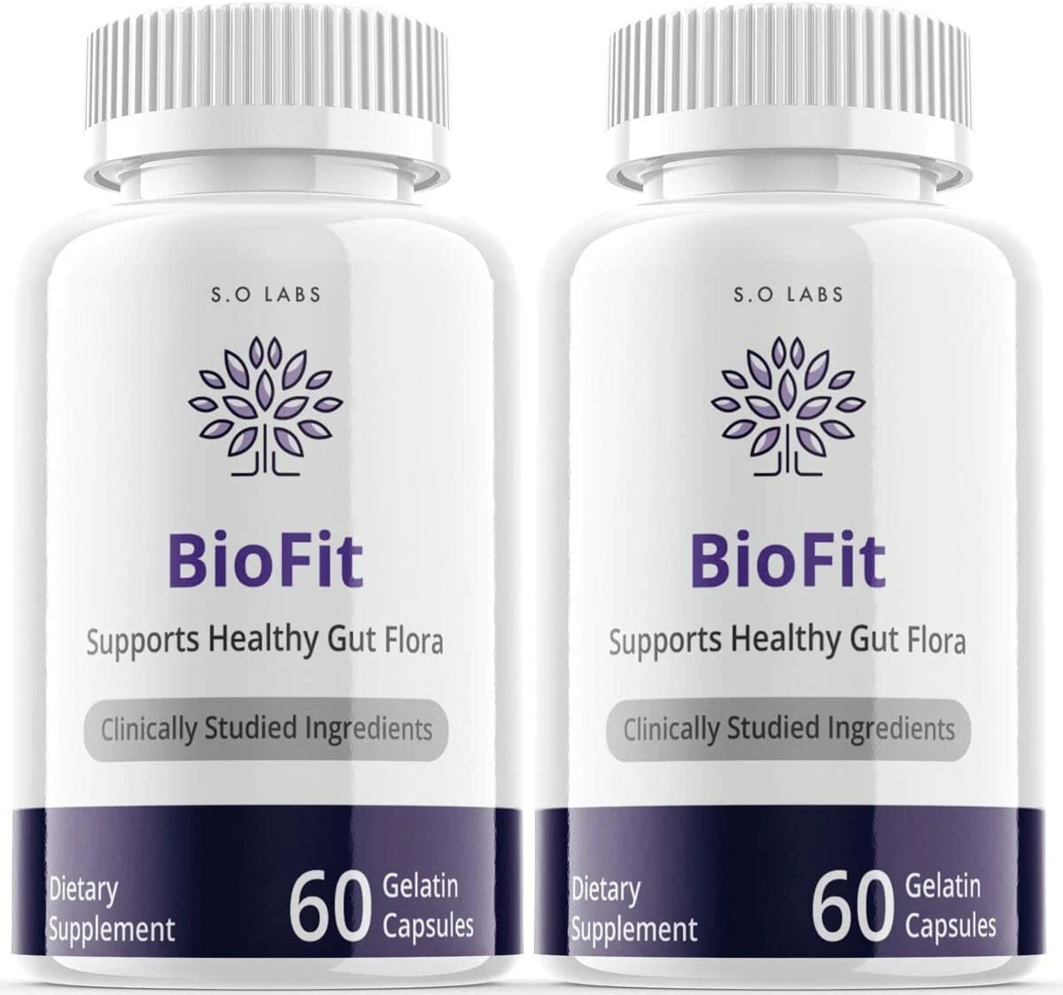 2-Biofit Diet Pills,Weight Loss,Fat Burn, Appetite Control, Gut Flora Supplement