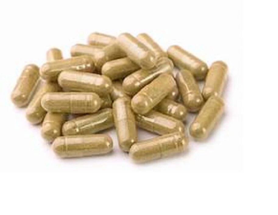 Mimosa Pudica Seed -- 200 CAPSULES -- Lajwanti Seed -- PARASITE DESTROYER