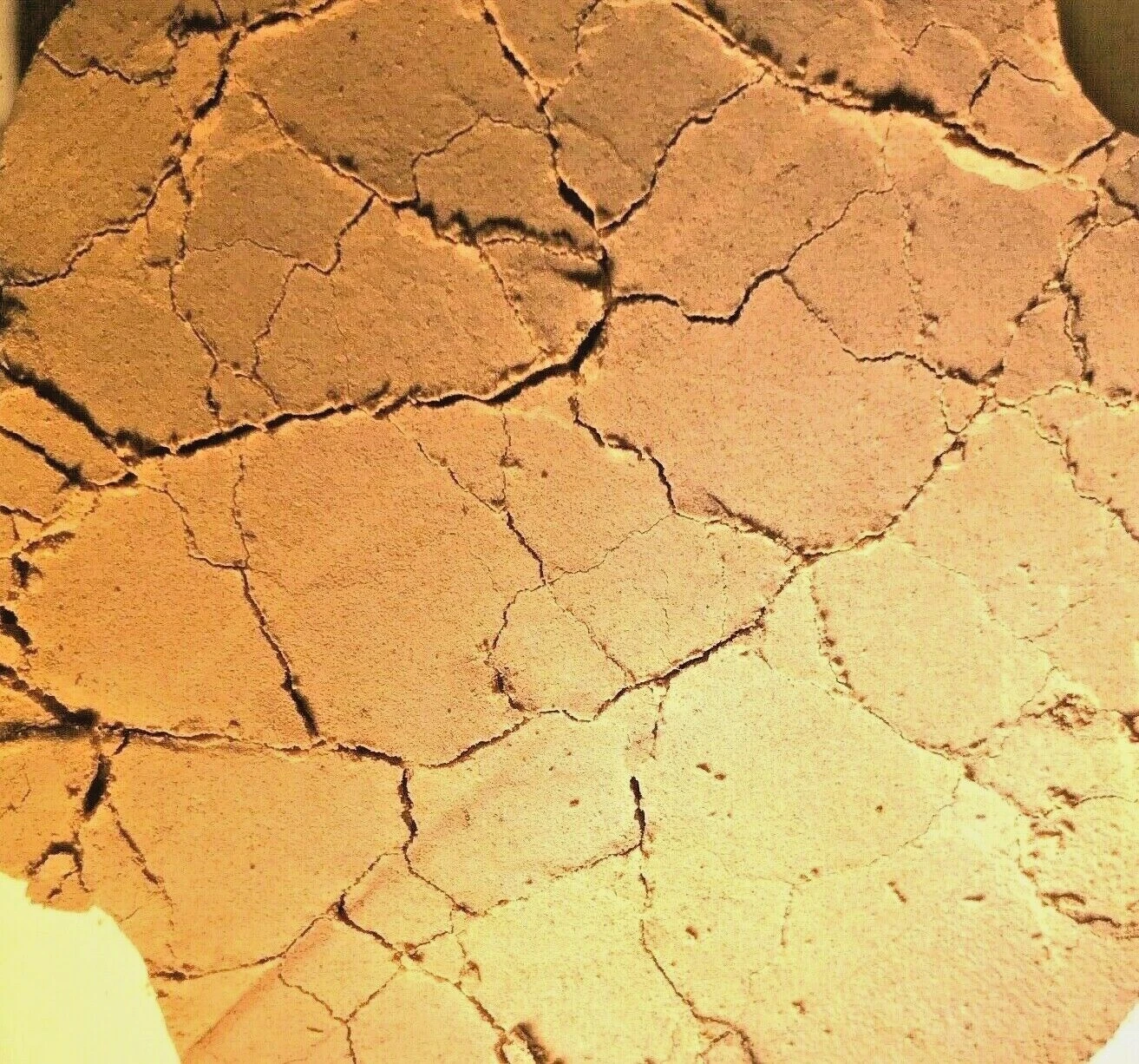 Mood Enhancing Quality Herb Blue Lotus Flower Extract 20X Powder 5 grams