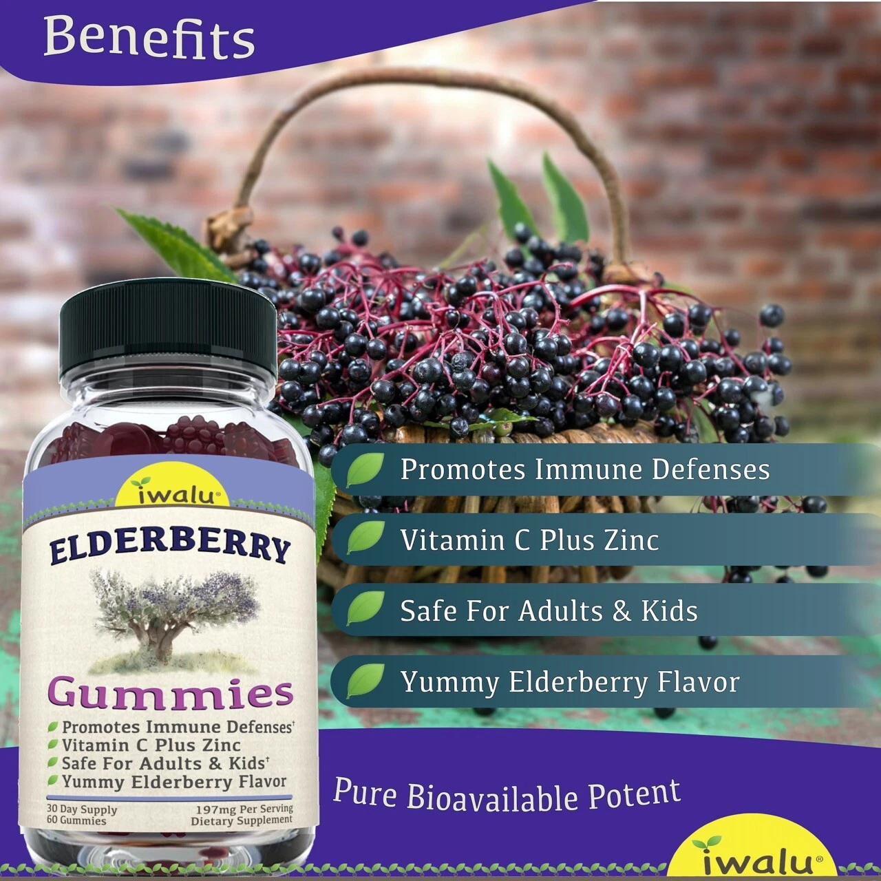 Gummies Vitamins For Immune System Support Elderberry With Vitamin C & Zinc
