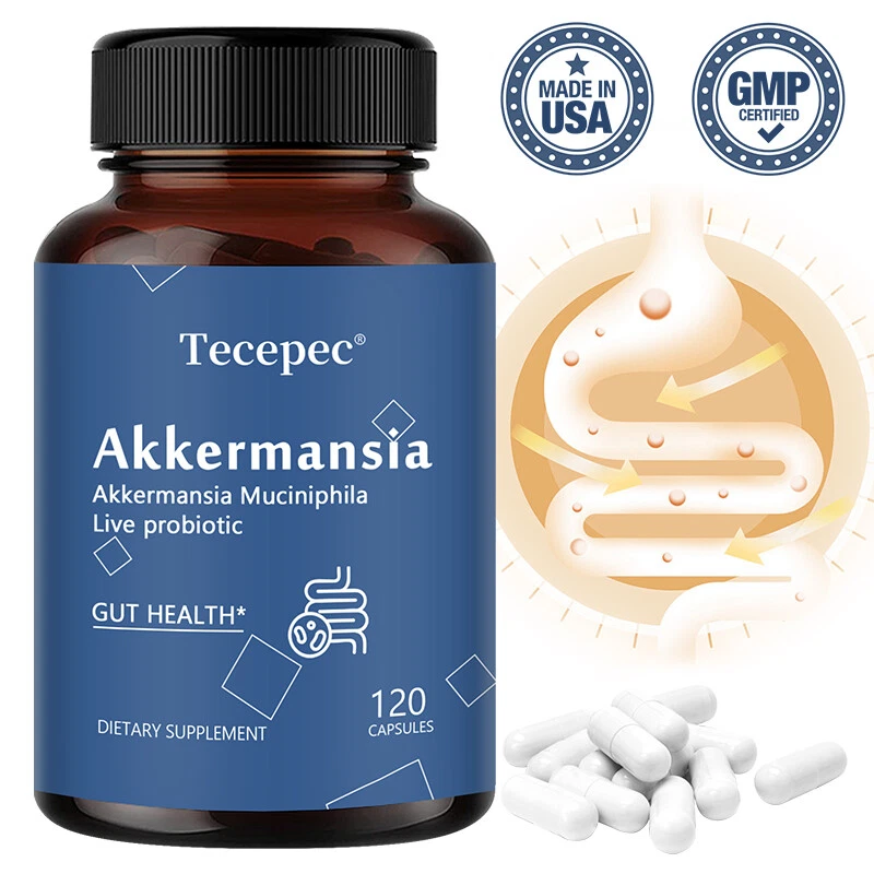 New Formula Akkermansia Muciniphila Live Probiotic Capsules Gut Health Support
