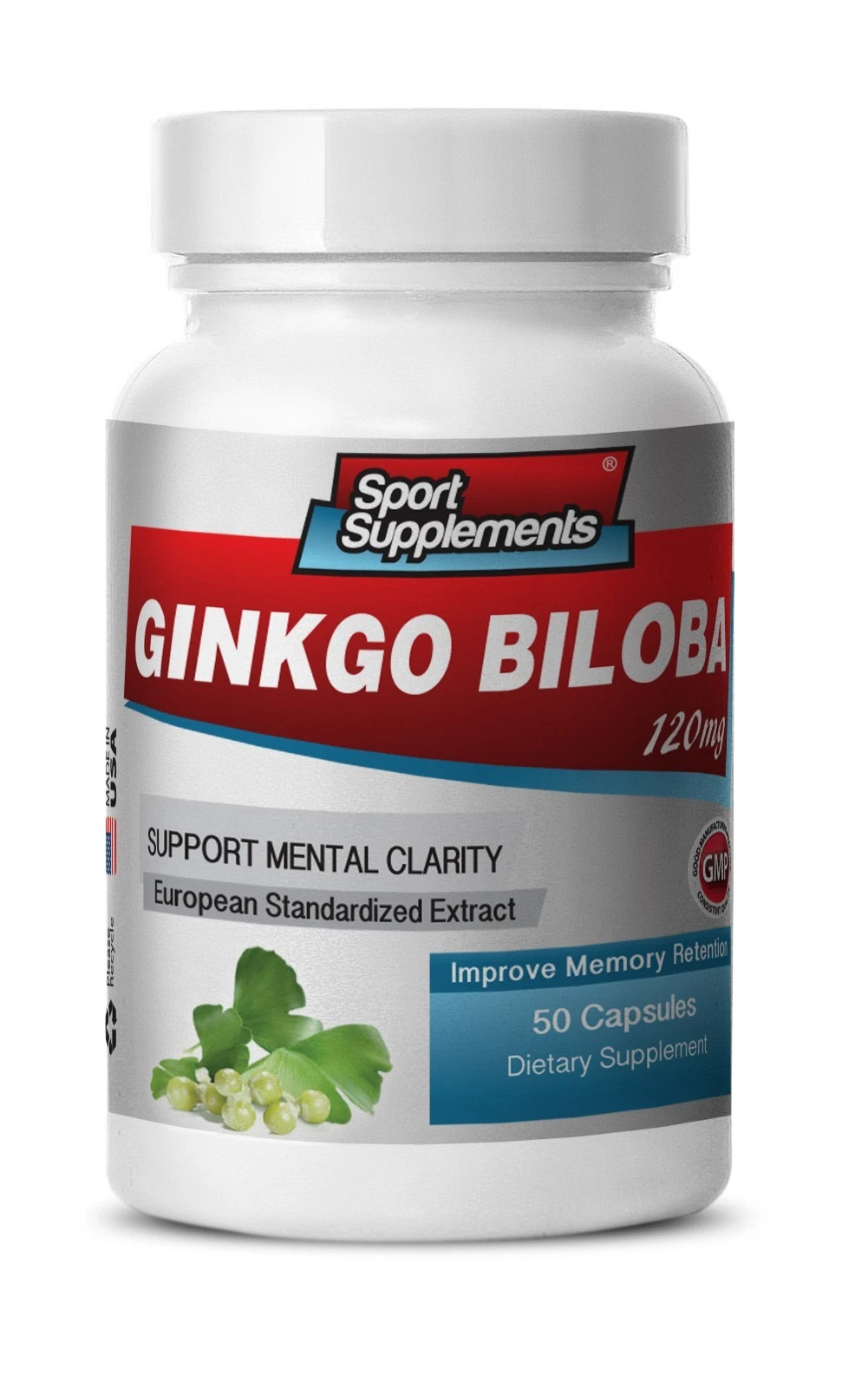 Ginkgo Biloba Extract 120mg - Sharpen Focus Memory Retention, Brain Boost 1B