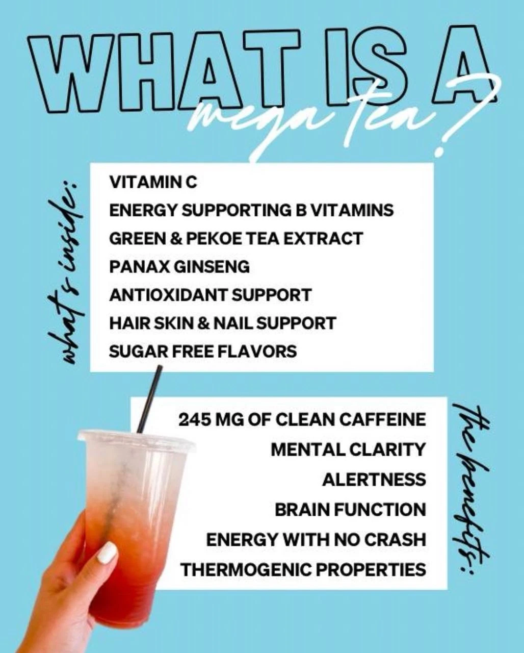 All Herbalife Loaded Tea Spring Menu (10 Pack)For $75 Sugar Free, Clean Energy