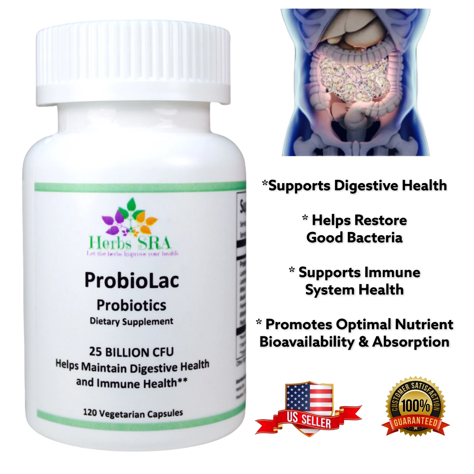 LACTOBACILLUS GASSERI, LACTOBACILLUS REUTERI, 120 Capsules, Intestinal Health.