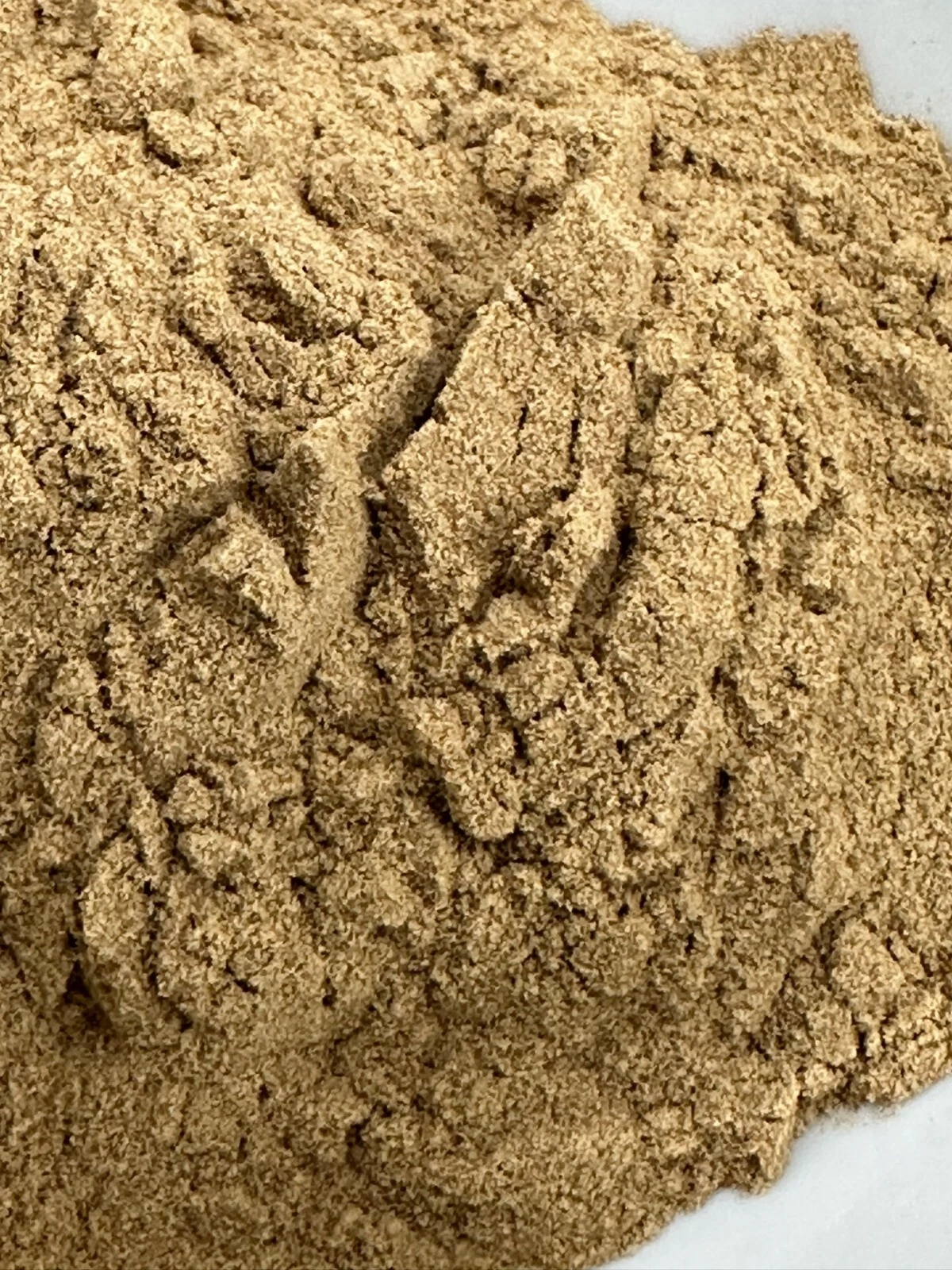 Oyster Shell 30:1 Extract Powder-200gms-AUSSIE NUTRITIONIST SELLER