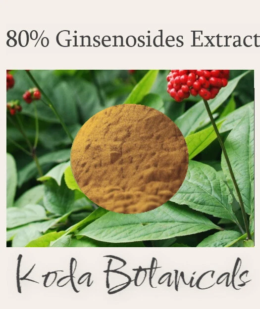 AMERICAN GINSENG 80% ginsenosides EXTRACT POWDER Panax quinquefolius