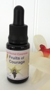 Living Tree Orchid Essences FRUITS OF COURAGE 15 ml 1/2 oz Acts on Chakras