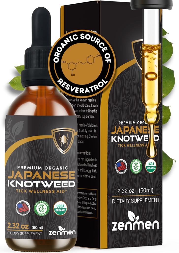 Zenmen Japanese Knotweed Tincture - Made in USA, Organic, Gluten Free, Vegan