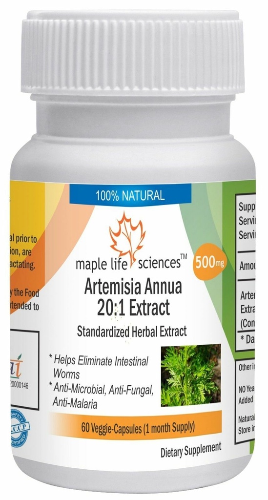 Artemisia Annua 20:1 Extract Capsules Pure & High Quality