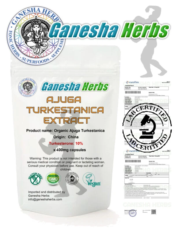 AJUGA TURKESTANICA 10% TURKESTERONE BULK: 1000 Capsules!! THIRD PARTY TESTED