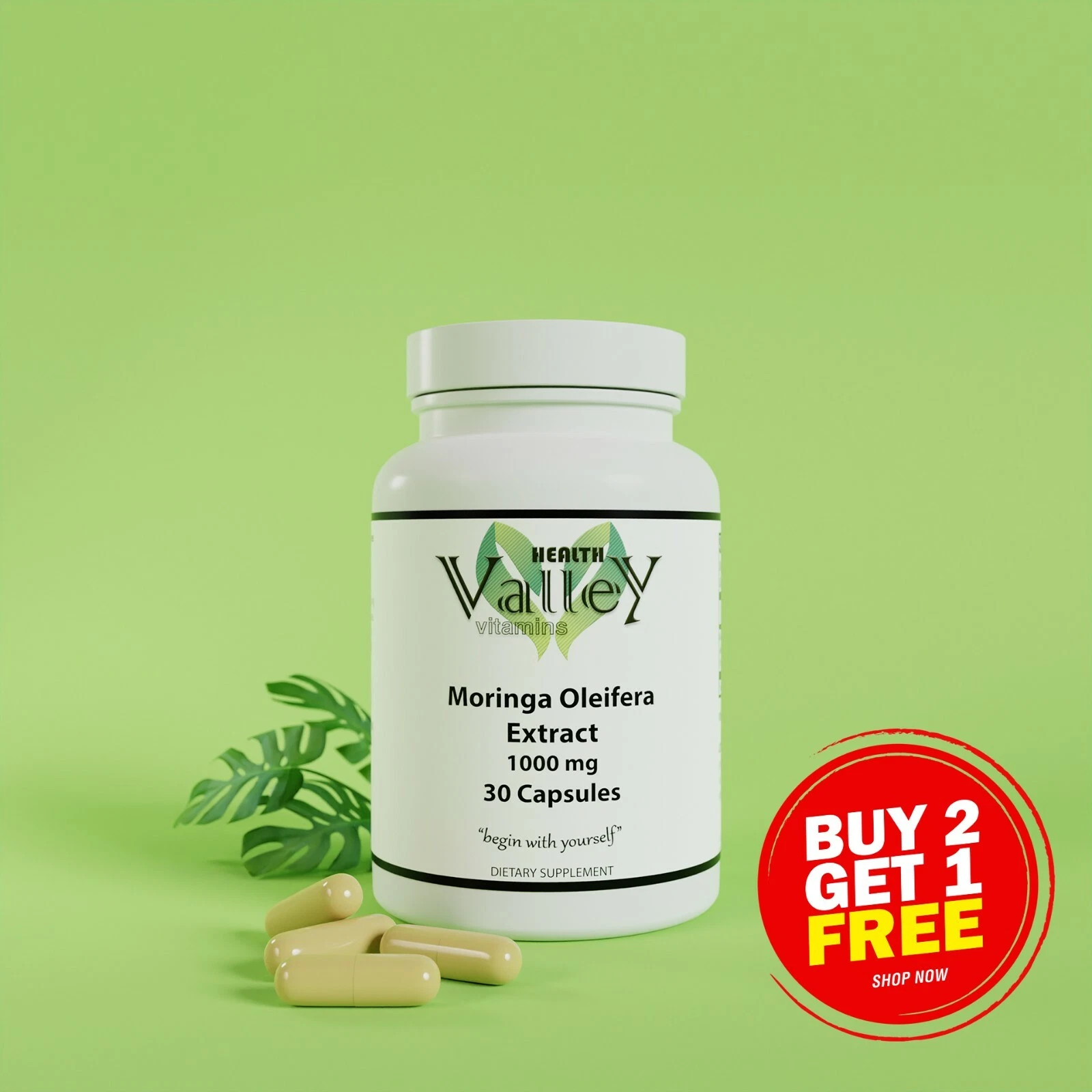 Moringa Oleifera Extract 1000mg, Antioxidants, Blood Sugar Levels, Cholesterol