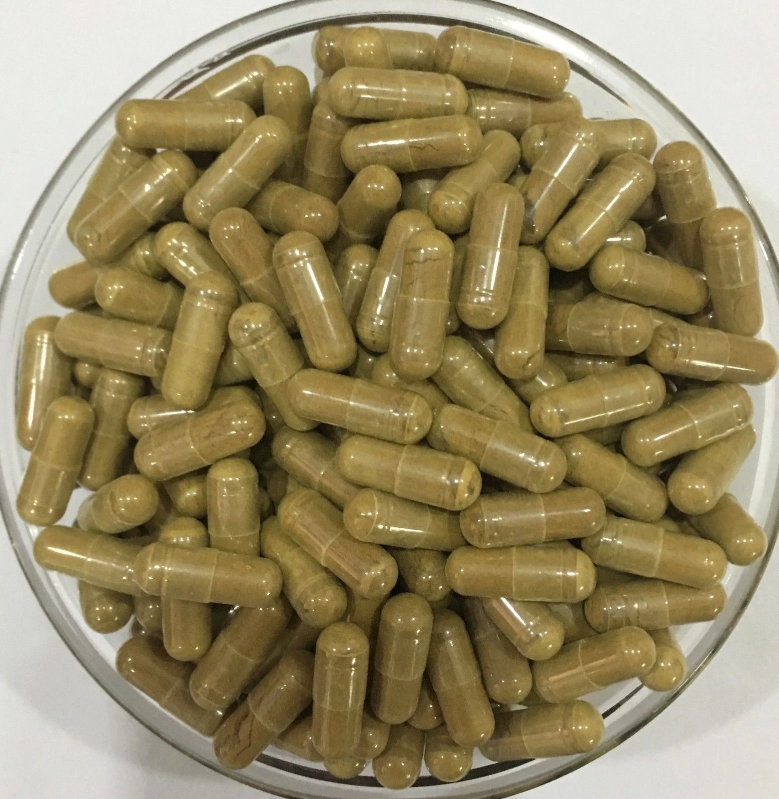 Skullcap Extract 10:1 Capsules Scutellaria Baicalensis Extract BAICALIN Pure