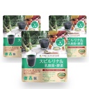 FINE JAPAN Superfood green Spirullina lactic acid bacteria, enzyme set of 3