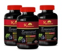 fat burner women - RESVERATROL 1200MG 3B - resveratrol