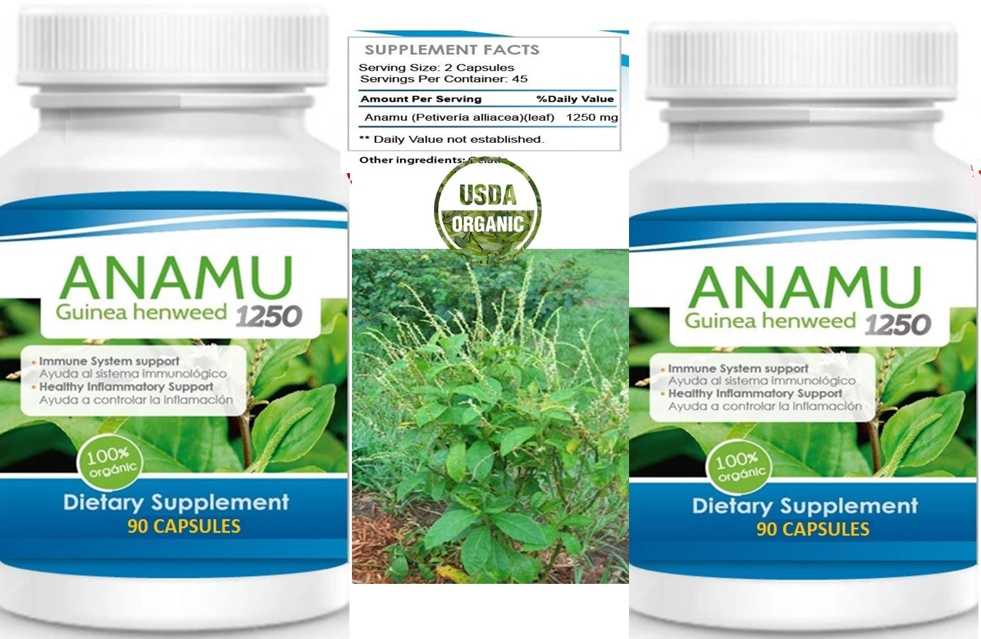 [283270604316] 180Caps ANAMU 1250mg Circulatory System Low Sugar support 100% 180 cap