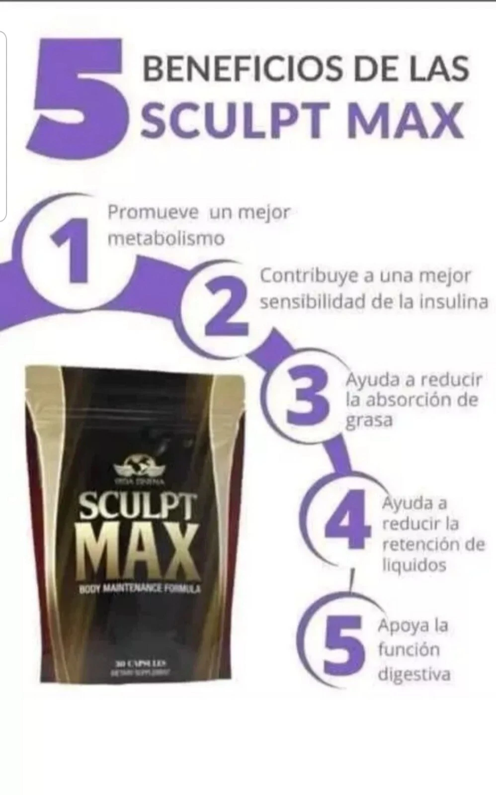 [396461445801] Vida Divina Sculpt Max