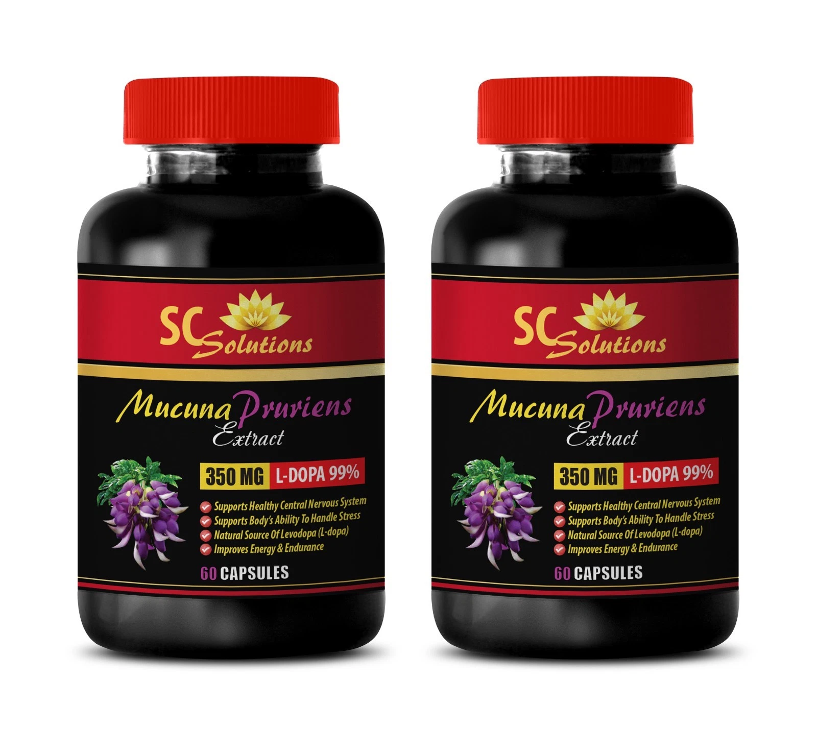 brain booster - MUCUNA PRURIENS EXTRACT -2B- for active sex life