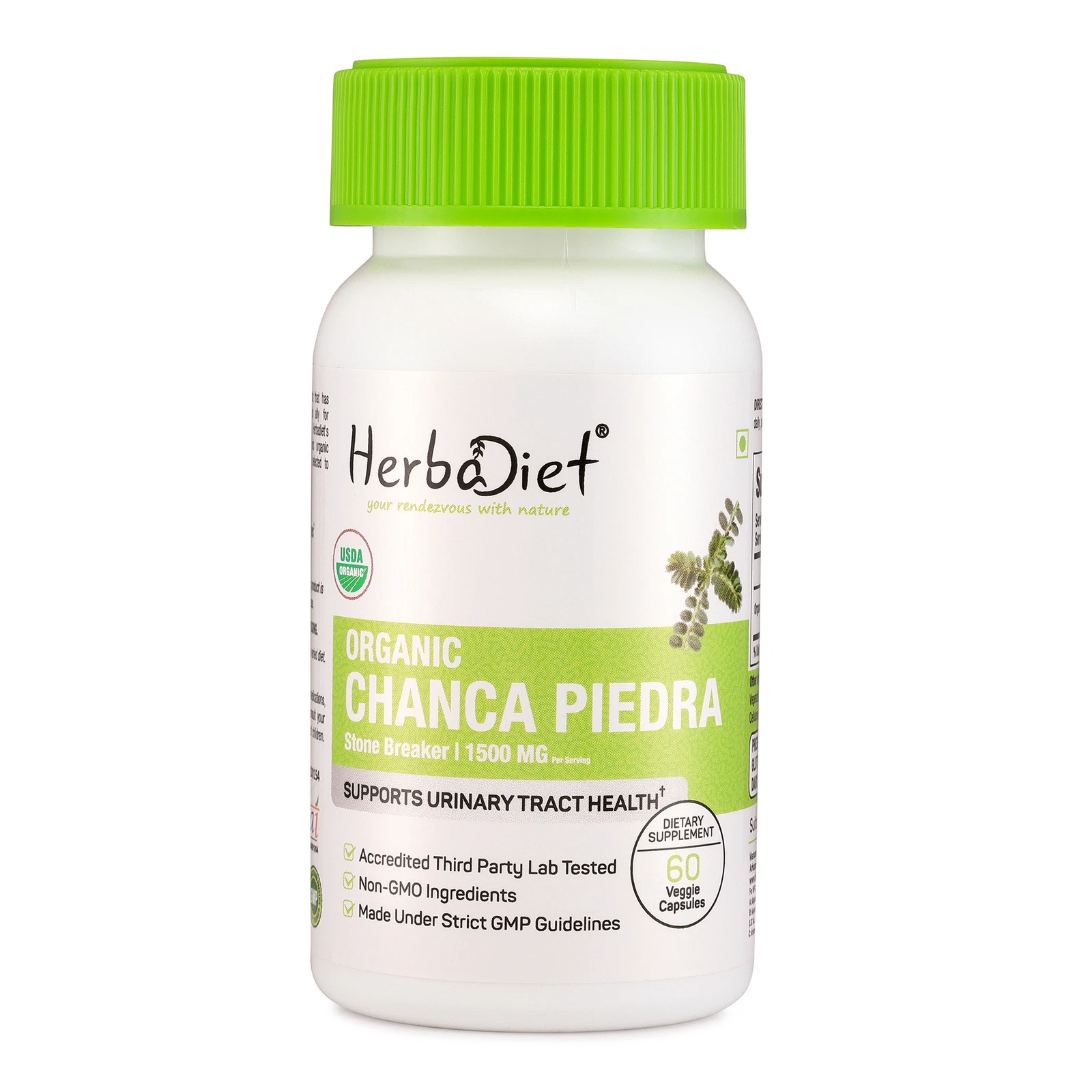 Organic Chanca Piedra Capsules Veg Phyllanthus Niruri 1500mg