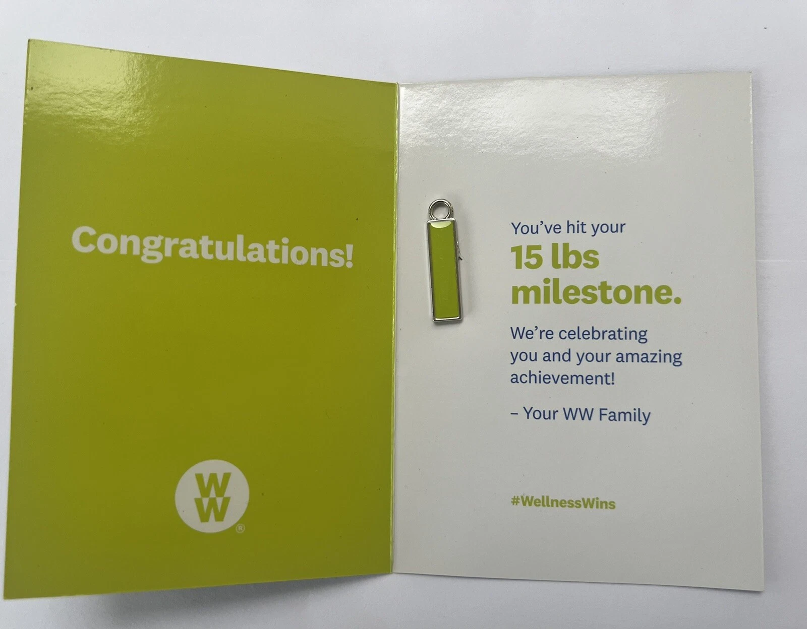 [166972412613] Weight Watchers 15 Lb milestone Keychain charm