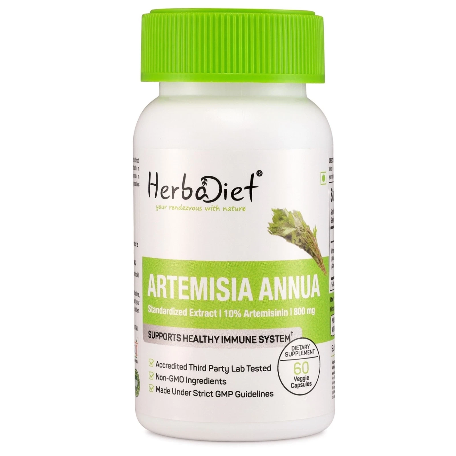 [174575891221] Artemisia Annua Extract Capsules ARTEMISININ Builds Immunity For Intestinal Worm