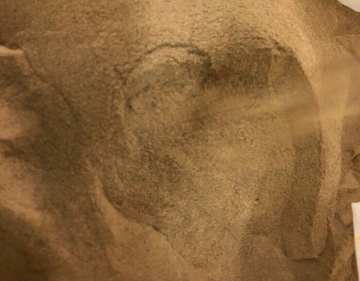 [133161549999] Jujube Fruit Fructus Ziziphus Jujuba Date Extract Powder 4:1