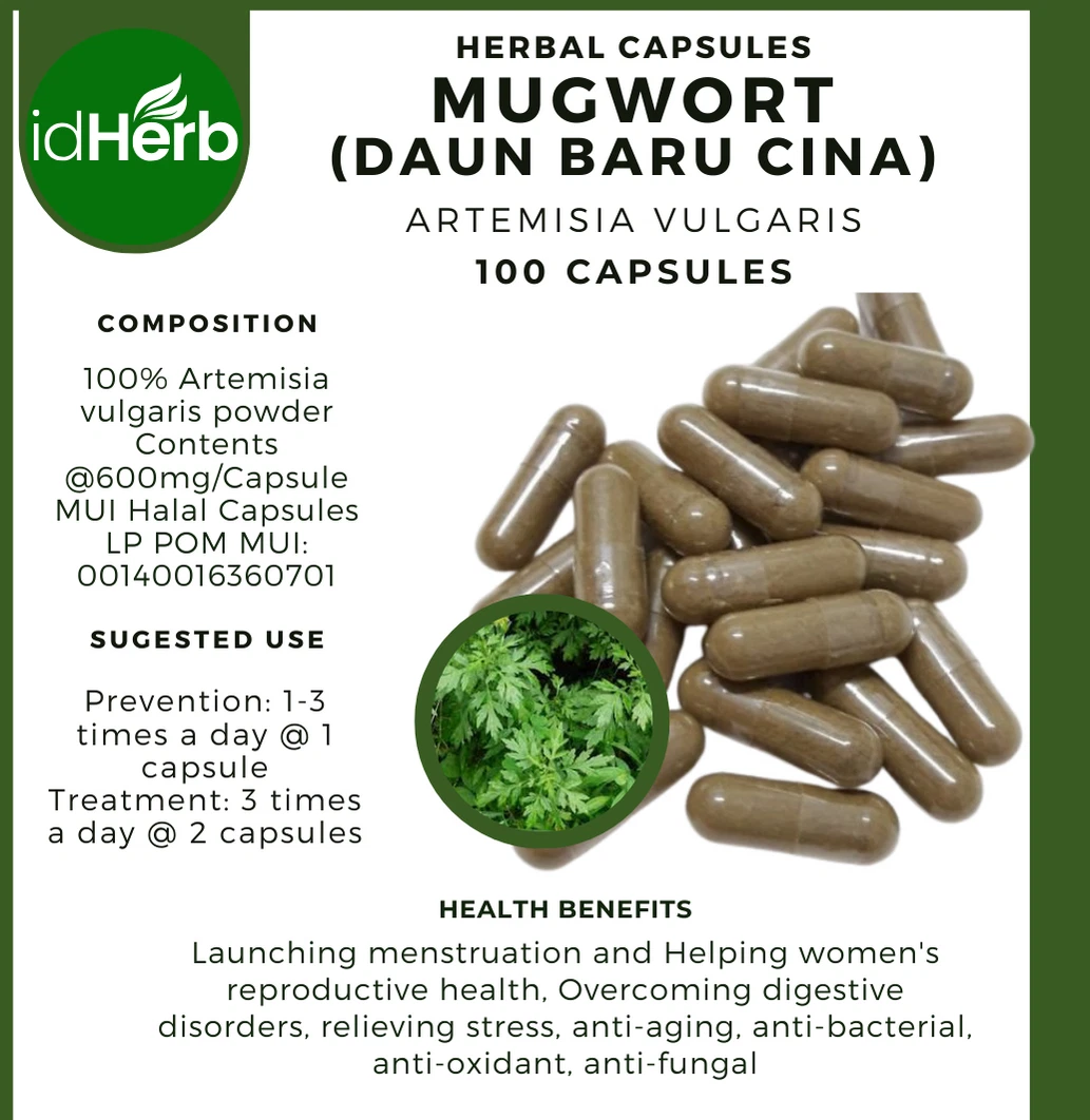 [205354173050] 100-500 CAPSULES of Mugwort Artemisia Vulgaris 100% Natural Organic WildCrafted