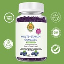 Blueberry Multivitamin Gummies Vitamin A, C, D, E, Zinc, B12 more Organic Greek®